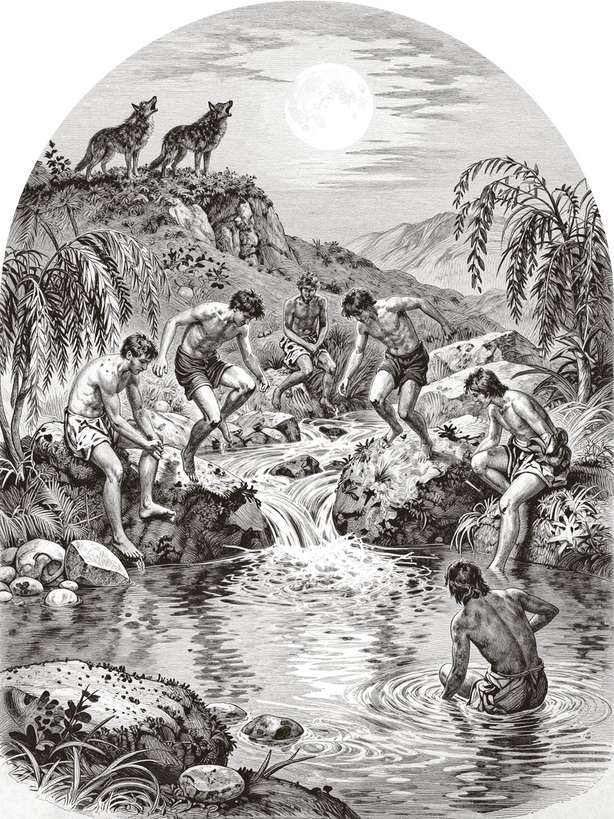Plate for RIVVS