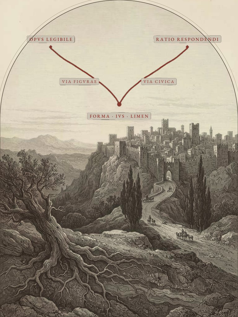 Liber VII
